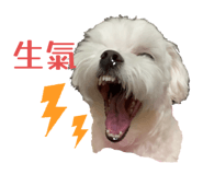 793829136