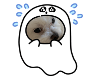 793829139