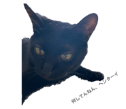 793829583