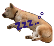 793830635