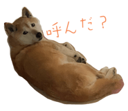 793830636