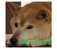 793830637