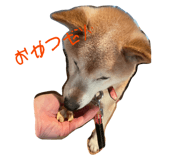 793830638