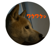 793830640