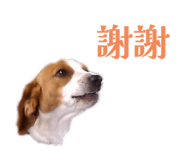 793831156