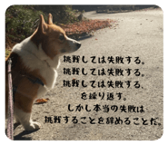 793833186