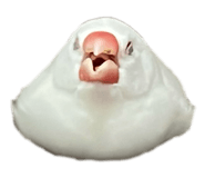 793836793