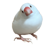 793836794