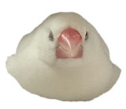 793836797