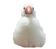 793836798