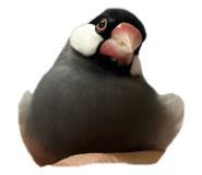 793836799