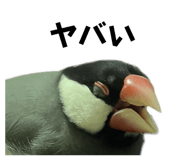 793836804
