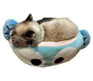 793837340