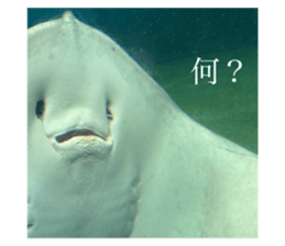 793839721