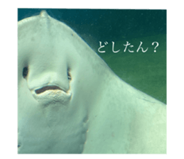793839722