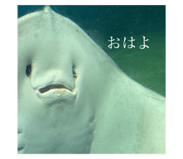 793839723