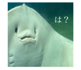 793839724