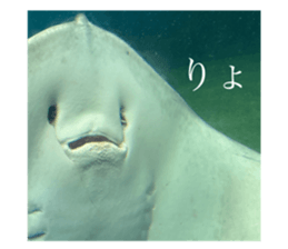 793839725