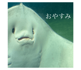 793839726
