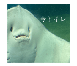 793839727
