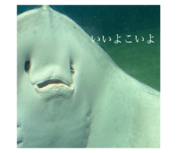 793839728