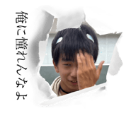 793842226