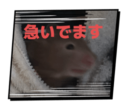 793842859