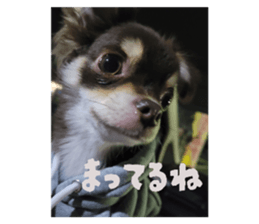 793844634