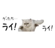 793850215