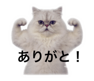 793850220