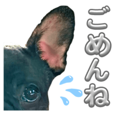 793854550