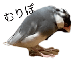 793860601