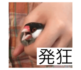793860602