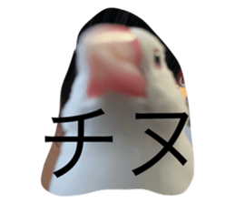 793860615