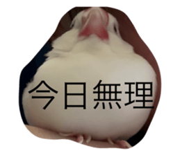 793860618