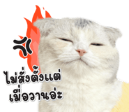 793862376