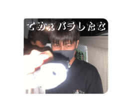 793868877