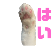 793870787