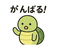 793883905