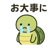 793883911