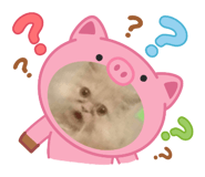 793889832