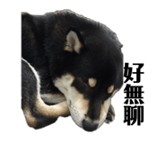 793896826