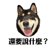 793896835