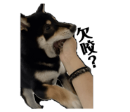793896837