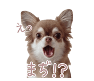 793897003