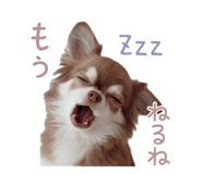 793897005
