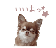 793897009