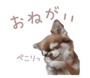793897015