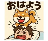 793903432