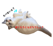 793921998